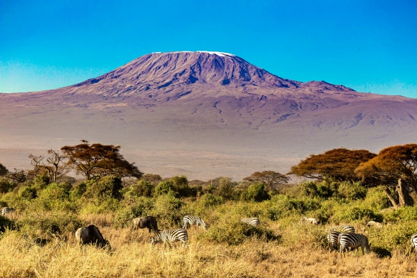 Der Amboseli Nationalpark in Afrika mit Blick auf den Kilimandscharo