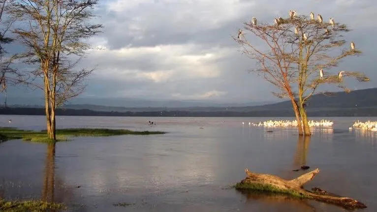 Afrika-Reise: Kenia Deluxe Safari