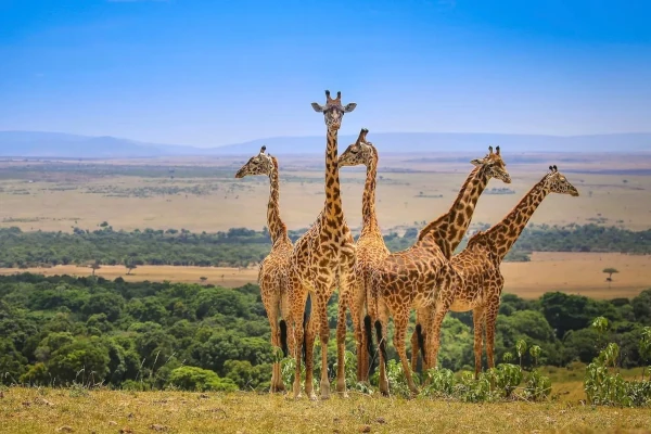 Afrika-Reise: Zugreise mit Madaraka Express