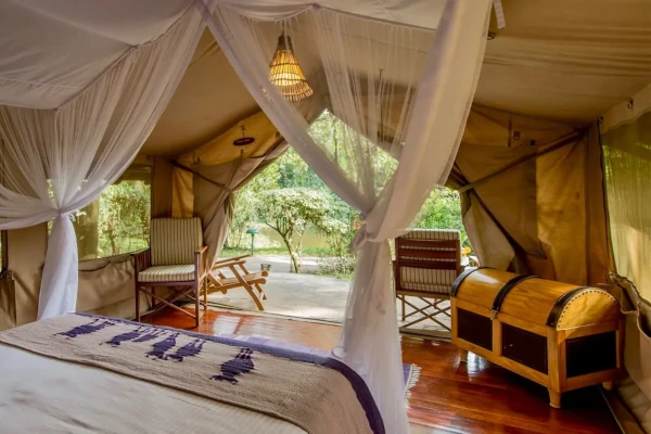 Sarova Mara Game Camp im weltberühmten Masai Mara Nationalreservat